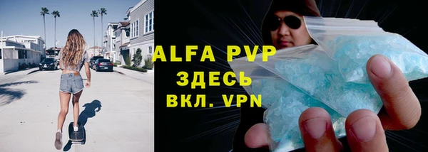 трава Белокуриха