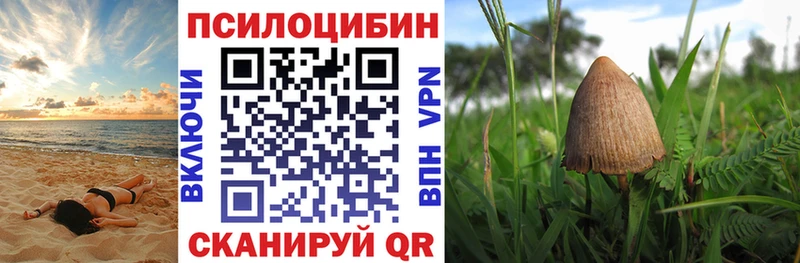 Галлюциногенные грибы MAGIC MUSHROOMS  закладки  Горняк 